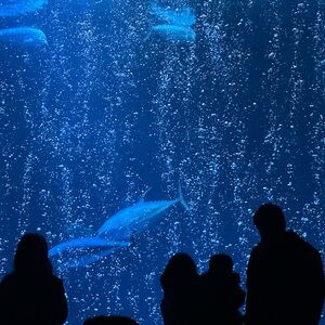 Meet your Posher, Sb official